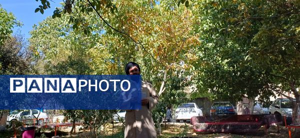 نماز جمعه باشکوه و آیین تجلیل از برگزیدگان رویداد «دختران حاج قاسم» 