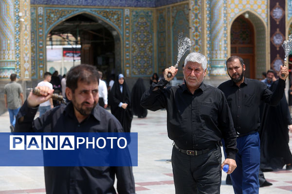 عزاداری شهادت دختر سه ساله امام حسین(ع) در قم