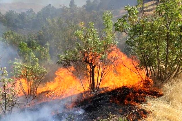  رایزنی بین‌المللی برای خاموش کردن آتش‌سوزی جنگل‌های چالوس
