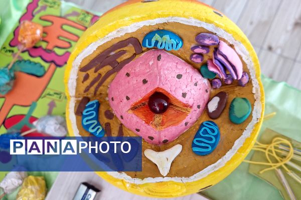 نمایشگاه دست سازه‌های علوم و آزمایشگاه در دبیرستان پویش 