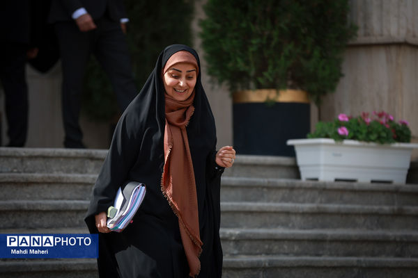 حاشیه جلسه هیات دولت