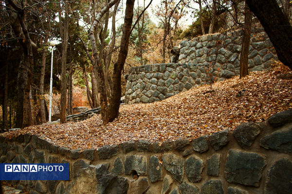 پاییز خیال انگیز در پارک جمشیدیه