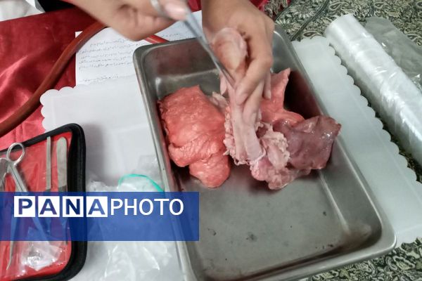  مراسم نواخته شدن زنگ پژوهش در فرزانگان قدس