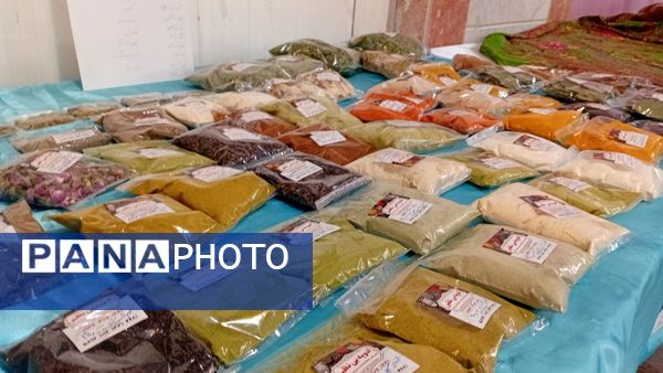  دبیرستان جرجانی میزبان شور و هنر دانش‌آموزان الیگودرز شد