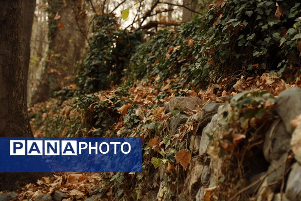 خلوت سرای پاییزی سعدآباد