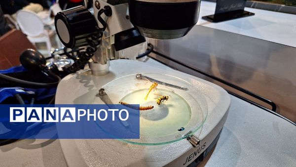 مشهد میزبان بیست‌وششمین نمایشگاه پژوهش و فناوری