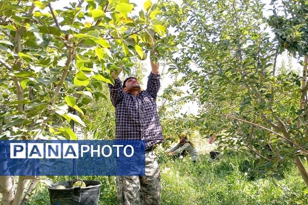 فصل زیبای پاییز در شهر بار نیشابور 