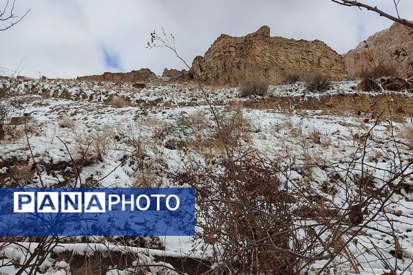 خودنمایی برف در شهر بار نیشابور