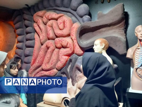 بازدید از پارک علمی تفریحی پروفسور بازیما مشهد