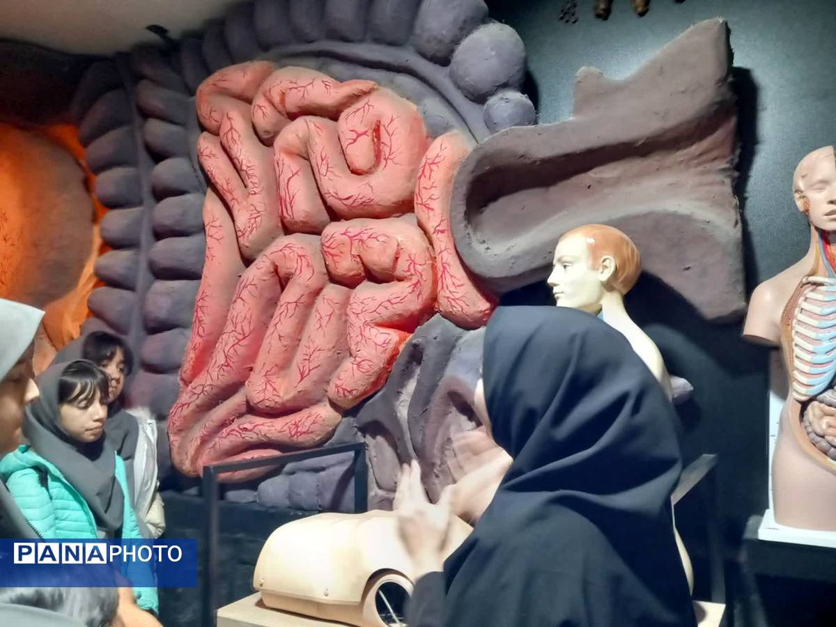 بازدید از پارک علمی تفریحی پروفسور بازیما مشهد