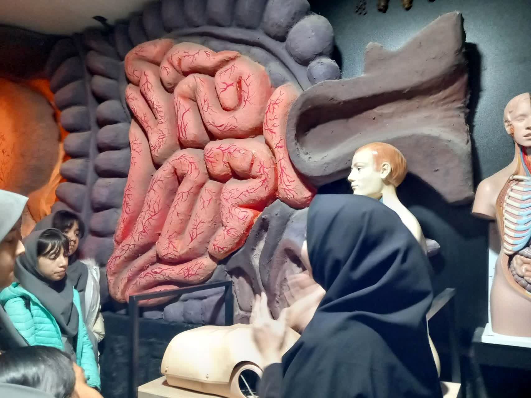 بازدید از پارک علمی تفریحی پروفسور بازیما مشهد