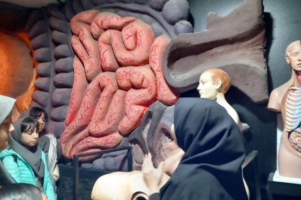 بازدید از پارک علمی تفریحی پروفسور بازیما مشهد