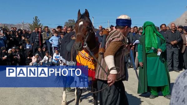 پیاده‌روی رضوی و رونمایی از کتاب «مشهدگ» در سالروز ورود امام رضا(ع) به خرانق اردکان