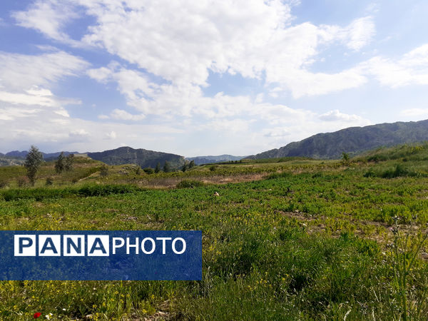 طبیعت بسیار خاص منطقه زیودار شهرستان معمولان
