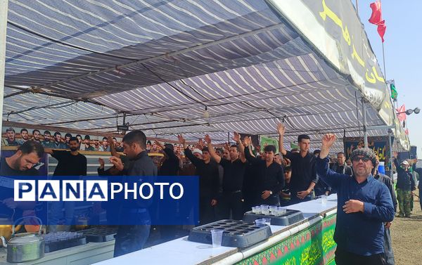 گام هایی از جنس عشق به امام رضا (ع)