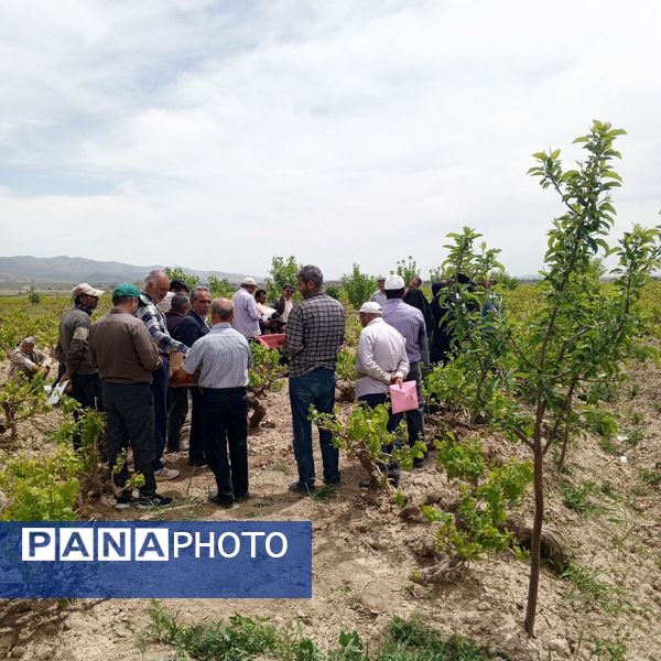 کلاس آموزشی تغذیه باغات انگور در شهر تیتکانلو
