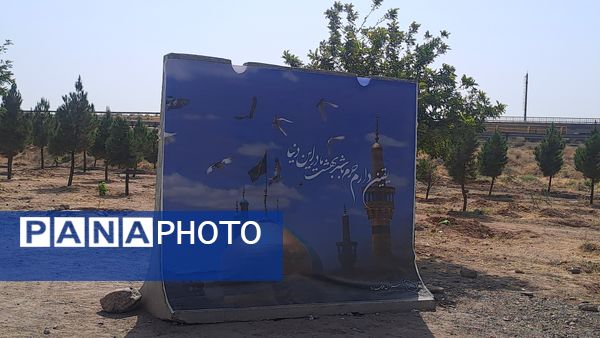 گام هایی از جنس عشق به امام رضا (ع)