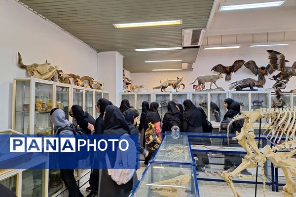 بازدید دانش‌آموزان از موزه زمین شناسی و جانور شناسی دانشگاه فردوسی مشهد