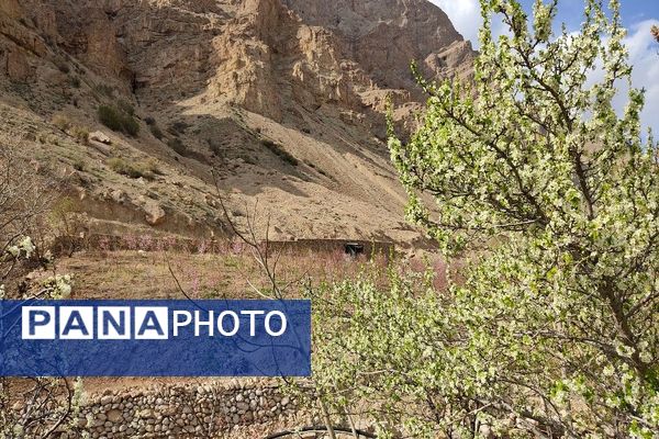شهر بار نگین سبز خراسان رضوی میزبان فصل بهار 