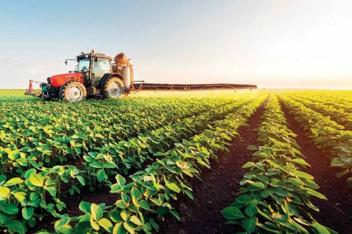 توسعه اقتصاد روستایی به هم‌افزایی بیشتری نیاز دارد