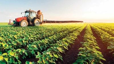 توسعه اقتصاد روستایی به هم‌افزایی بیشتری نیاز دارد