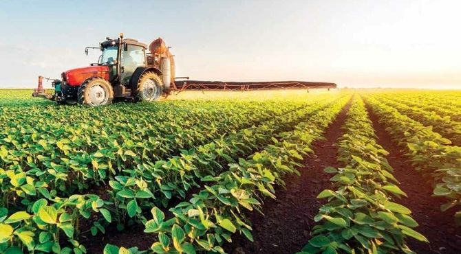 توسعه اقتصاد روستایی به هم‌افزایی بیشتری نیاز دارد