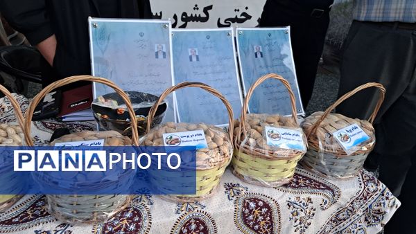 شکوفایی طعم و فرهنگ در سامان؛ دومین جشنواره بادام و گردو 