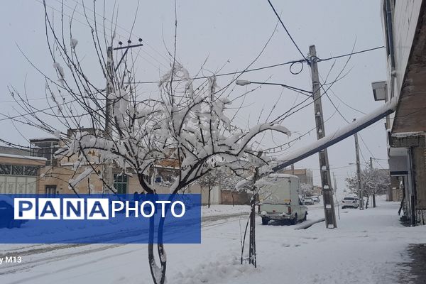 عروس فصل‌ها باری دیگر مهمان شهرستان بن