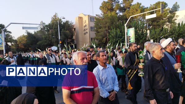 قافله پیاده‌روی و عزاداری خادمیان رضوی و هیات‌های مذهبی اصفهان