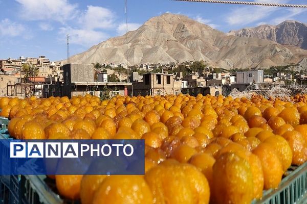 فصل زیبای پاییز در شهر بار نیشابور 