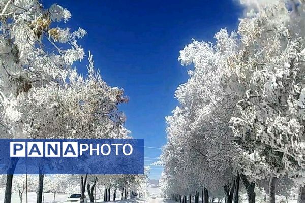 عروس فصل‌ها باری دیگر مهمان شهرستان بن