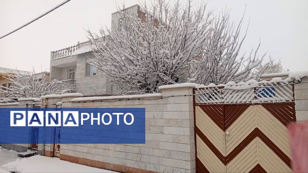 شازند سفیدپوش شد