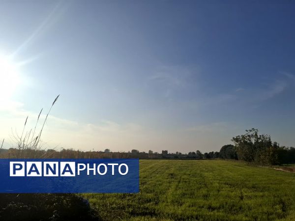 جنگل‌های هیرکانی کردکوی