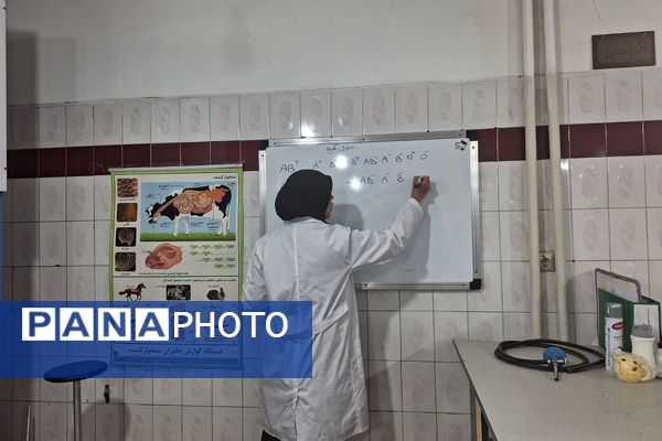 برگزاری کارگاه خون شناسی در پژوهشسرای دکتر حسابی شهرقدس