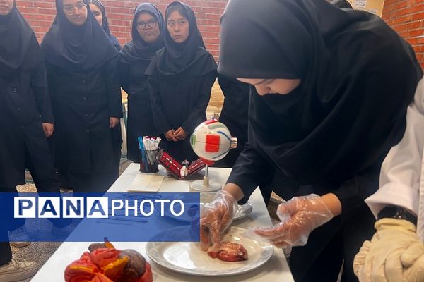 ویژه‌برنامه روز آزمایشگاه در دبیرستان پروفسور رزاقی کهریزک 