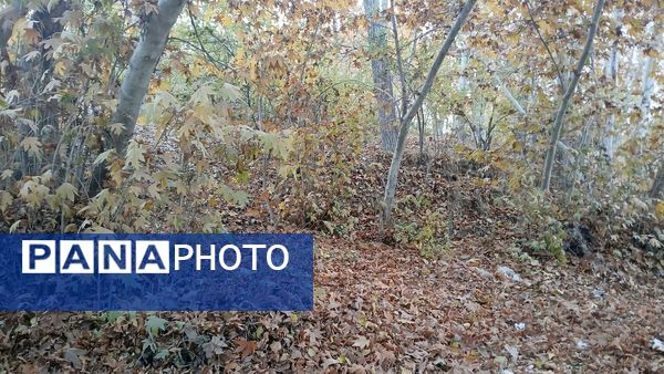 نگاهی کوتاه به طبیعت پاییزی امامزاده بابا پیر احمد (ع) شهرستان بن 