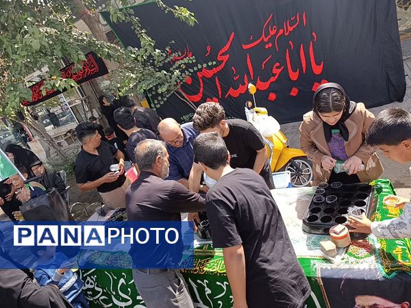 پیاده‌روی جاماندگان اربعین در تربت حیدریه 