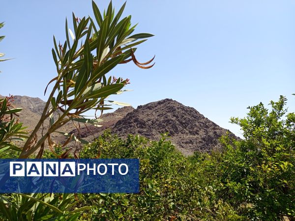 روز طبیعت در خانه‌ای کوچک و دلنشین بی‌‌بی گل و آقا جان
