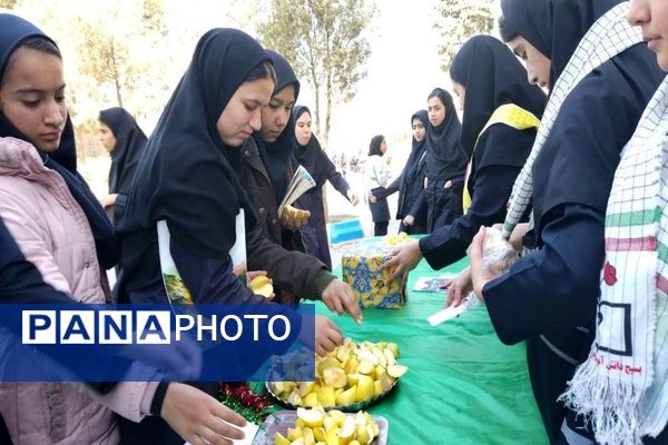 سه شنبه های مهدوی برای نذر سلامتی و ظهور آقا امام زمان (عج)