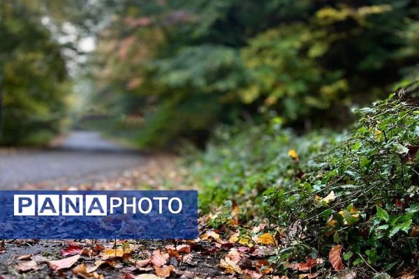 هرچه می‌گذرد، بیشتر به شبی سردتر و طولانی‌تر نزدیک می‌شویم