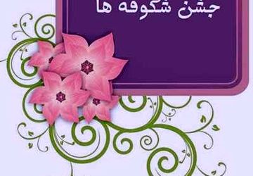 شکوفه‌های دانش در دبستان پیام انقلاب شکفتند