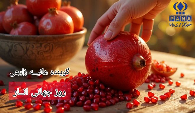 روزملی دانه های یاقوت سرخ