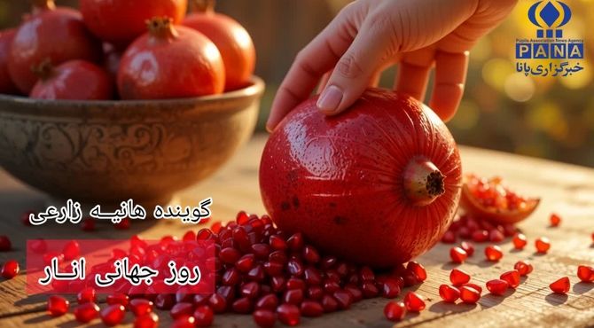 روزملی دانه های یاقوت سرخ