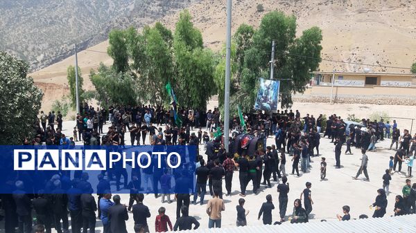 عزاداران حسینی، خیابان‌ها را غرق لبیک یا حسین کردند
