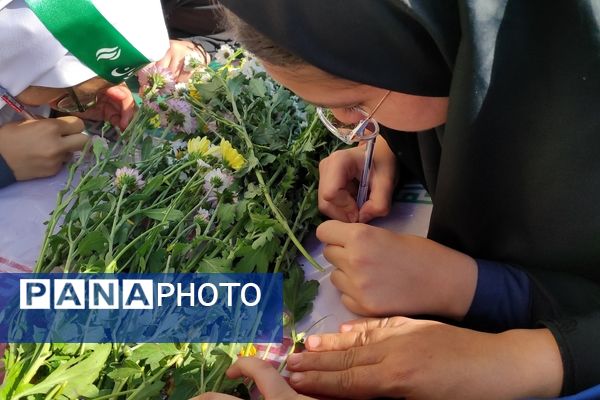 پیکر شهید دفاع مقدس پس از چهل و دو سال به شهر خود بازگشت