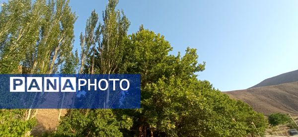 مزار گردشگری کلاته بایزید، گوهر پنهان طبیعت در دل کوهستان 