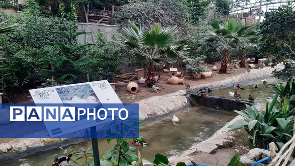 باغ پرندگان قم: جاذبه‌ای بی‌نظیر در قلب کشور