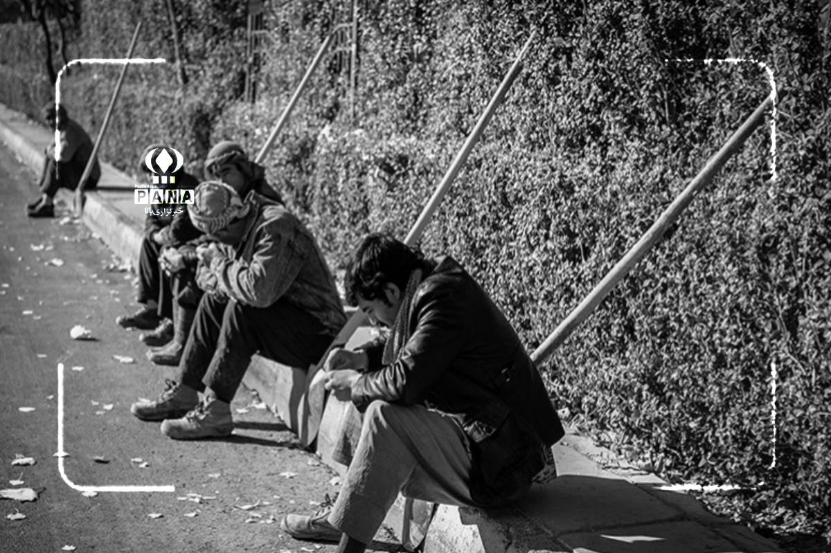 اشتغال‌زایی در کردستان پروژه‌ای ناتمام با امیدهای تازه