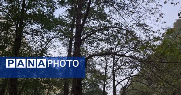 نگین سبز شمال ایران