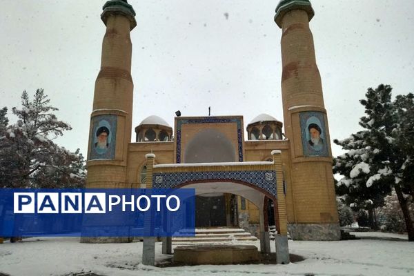 بارش برف در شهرستان تربت جام